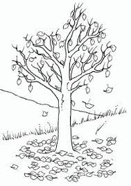Ausmalbilder Baum Herbst Ausmalvorlagen Ausmalen Ausmalbilder