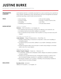 Download Professional Animator Resume Examples Film Livecareer