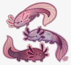 Sign up today & get started for free! Axolotl Drawing Easy Art Drawings Art And Clip Art Axolotl Clipart Stunning Free Transparent Png Clipart Images Free Download Standard Printable Step By Step Miki Love Darl