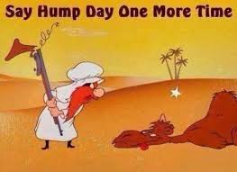 In the commercial of the camel for geico. Mike Mike Mike Mike