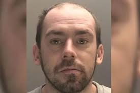 A pair of thugs have admitted stabbing and punching two Bully dogs during a  frenzied bloodbath attack. Jamie Seery, 36,, and, Mikey Keegans, 32, from  Bellshill, North Lanarkshire