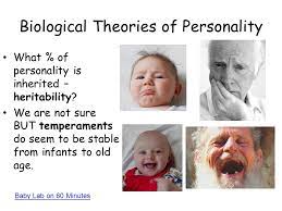 Psychoanalysis Today Couch Sitting Transference Is Likely To Happen Ppt Download