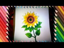 While the flower was really easy to draw, it is still looking very nice. How To Draw A Sunflower Step By Step Very Simple And Easy Sunflower Sunflowerdrawing Kidsdraw Youtube