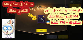 ● only business للعمل فقط ● * for business enquiries | للدعايه. Facebook