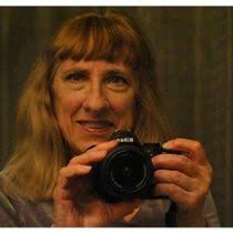 Carbon Fee Bill Introduced in the Senate