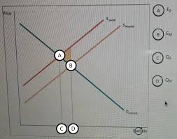Equilibrioception, the sense of a balance present in human beings and animals. Solved Wwnorton Com A Smartwork5 59 109 23 19 See Lt Ch 7 Market Inefficiencies Home Use The Following Graph To Identify The Equilibrium At Course Hero