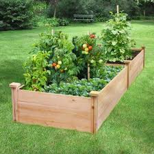 Outdoor Living Today 8 Ft X 8 Ft Cedar Raised Garden Bed With Deer Fence Kit Wayfair Cedar Raised Garden Beds Raised Garden Diy Raised Garden