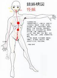 pin on traditional chinese medical art