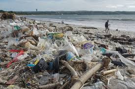 Jasa pertukangan dan pengawasan untuk segala jenis bangunan. Rubbish Season Gets Underway In Bali Readsector