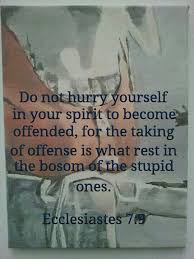 Do Not Hurry Yourselves In Your Spirit To Become Offended For The Taking Of Offense Is What Rest In The Bosom Bible Truth Ecclesiastes Spiritual Encouragement
