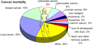 My cancer man and cancer woman have details for each. File Most Common Cancers Female By Mortality Png Wikiversity