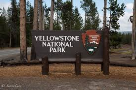 Jackson hole historical society and museum. Yellowstone National Park Eine Reise Zwischen Geysiren Und Bisons Savorylens National Parks Yellowstone Park