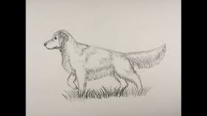 Pin On Drawing