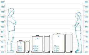 size guide tripp ltd