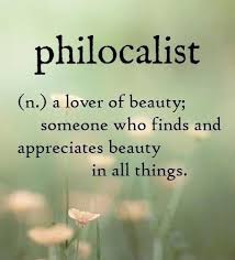 Philocalist N A Lover Of Beauty Someone Who Finds And Appreciates Beauty In All Things Unusual Words Rare Words Weird Words