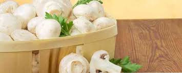 Segar, cendawan dalam tin, cendawan sejuk beku, sos cendawan, sup cendawan segera. Pelbagai Manfaat Dan Risiko Makan Cendawan Untuk Kesihatan Maklumat Kesihatan Petua Perubatan Dan Maklumat Kesihatan Yang Berguna