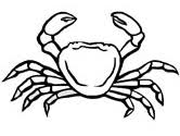 For kids & adults you can print cute or color online. Crab Coloring Pages