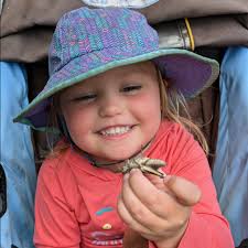 Donate to Arizona Trail Association