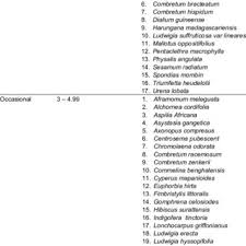 Image result for Anthonotha macrophylla