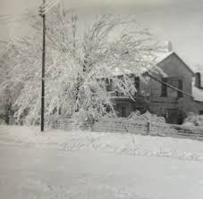 Been awhile since we had a “guess who I am” picture. This should be an easy  one…and isn't she pretty!