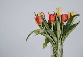 How to keep flowers fresh longer. Tricks To Keep Your Flowers Fresh Longer Ecooe Life