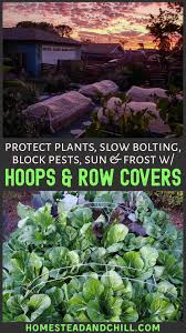 From extending the season to keeping out pests, this multiuse fabric can transform your garden. Using Hoops And Row Covers For Garden Pest Control Shade Frost Protection Homestead And Chill Garden Pests Frost Protection For Plants Garden Pest Control