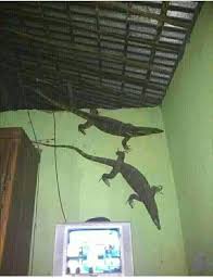 We did not find results for: Ncutz Cicak Cicak Di Dinding Facebook