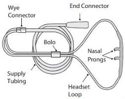 Learn vocabulary, terms and more with flashcards, games and other study tools. Salter Style Children Nasal Cannula Pediatric Oxygen Cannula