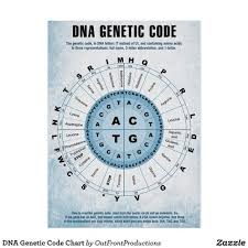 The Genetic Code In Dna Letters T Instead Of U And