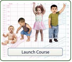 Who Growth Chart Training For Children Birth 2 Years Old