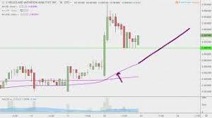 Helios And Matheson Analytics Inc Hmny Stock Chart