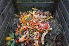 Find a hazardous waste disposal center. Food Waste The Nutrition Source Harvard T H Chan School Of Public Health