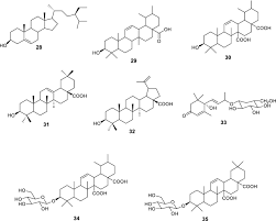 Image result for Psydrax subcordata