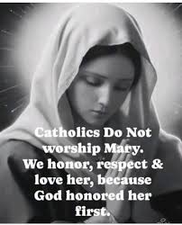 CATHOLIC DAILY MASS READINGS AND REFLECTIONS