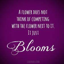 Check spelling or type a new query. Quotes About Summer Flower 30 Quotes