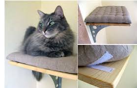 Check spelling or type a new query. Adopt A Pet Com Blog Diy Cat Climbing Shelves Adopt A Pet Com Blog