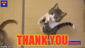 # happy # cute # dog # animals # thank you. Thank You Pusheen Cat Gif Novocom Top