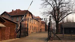 Naked Auschwitz Demonstrators Who Killed Sheep Convicted Bbc News