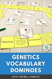Basic Genetics And Chromosomes Vocabulary Dominoes Vocabulary Interactive Vocabulary Vocabulary Activities