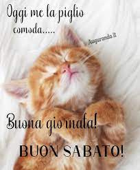 Buon Sabato Con Fantastiche Immagini Entra Buon Sabato Buongiorno Divertente Venerdi Divertente