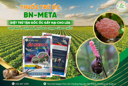 BN-Fosthi 10GR