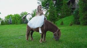 Human ponies & riding mistresses. 1 435 Pony Ride Stock Videos Royalty Free Pony Ride Footage Depositphotos