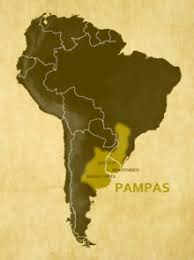In spanish, gaucho is a term used to describe the residents of south american pampas or patagonian grasslands in parts of argentina, uruguay, southern chile and southern brazil. Pampas Wikidata