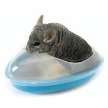 Read profiles of chinchillas personalities. Chinchilla Bath Small Animal Bath Sand Bath Wellness Bath 26 X 23 X 11 99