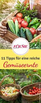 Reiche Gemuseernte Tipps Fur Selbstversorger Selbstversorger Garten Gemuseanbau In Kubeln Ernte