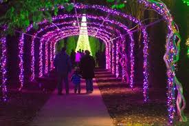 The Magical Tennessee Garden That Comes Alive With Light Each Winter Christmas In Nashville Tennessee Christmas Nashville Trip