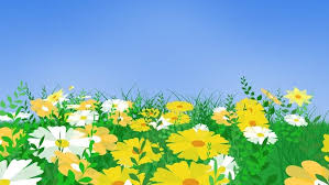 Animation Flourish Field Stock Footage Video 100 Royalty Free Animated Illustration Cosmos Flower Field Youtube Y In 2020 Field Wallpaper Flower Field Anime Flower
