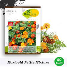 Check spelling or type a new query. Benih Bibit Bunga Marigold Petite Mix Haira Seed Shopee Indonesia