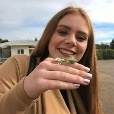 adele hill (aogdenhill)