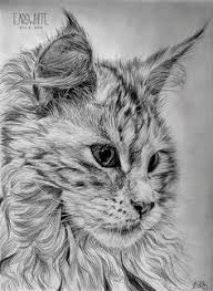 Resultat De Recherche D Images Pour Sirene Dessin Realiste Dessin Au Crayon Dessin Chat Dessin Chaton